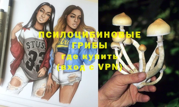 PSILOCYBIN Богородицк