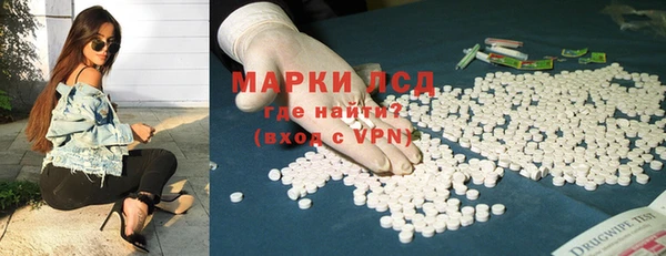 PSILOCYBIN Богородицк