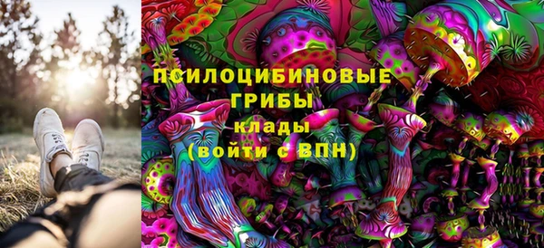PSILOCYBIN Богородицк